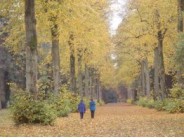 22. Two Amazing Arboreta - Westonbirt, the National Arboretum, and Batsford Arboretum